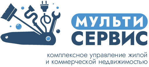 Мультисервис